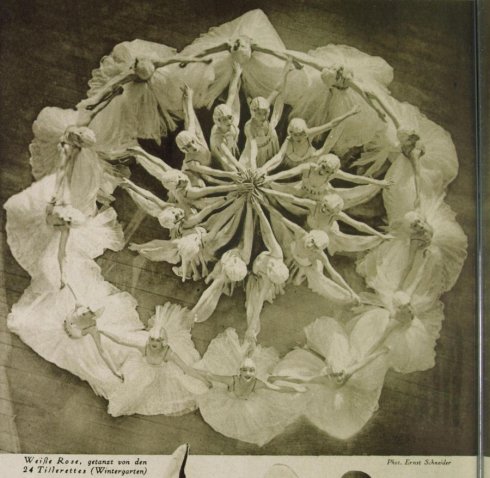 Weiße Rose, getanzt von den Tillerettes-Tänzerinnen im Variete Wintergarten in Berlin - 1932
