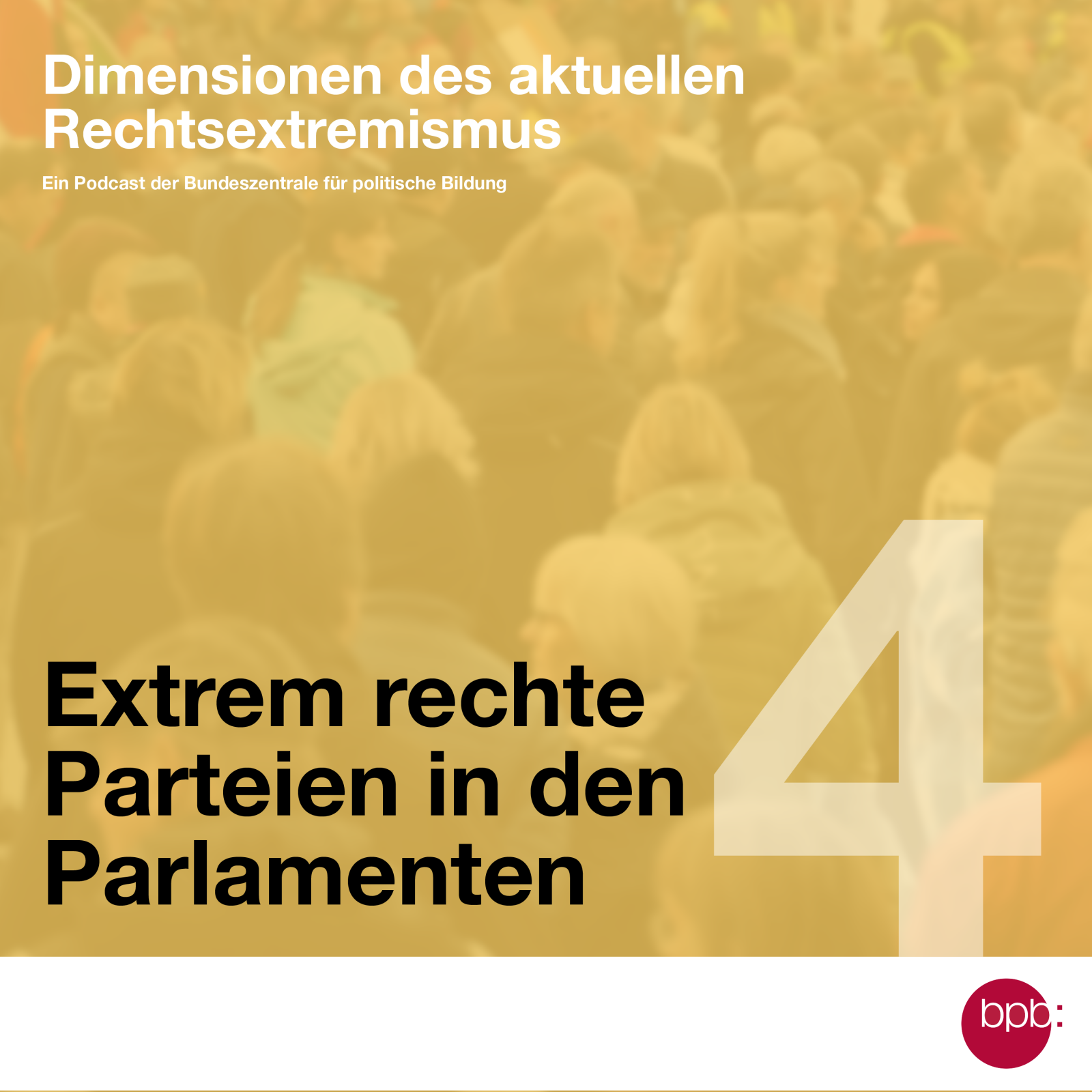 Extrem rechte Parteien in den Parlamenten