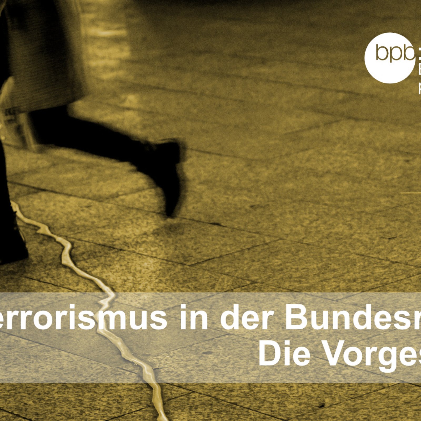 Terrorismus – Strategie des Schreckens