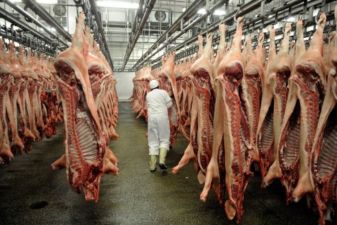 Quellentexte zur Tierethik | Bioethik | bpb.de
