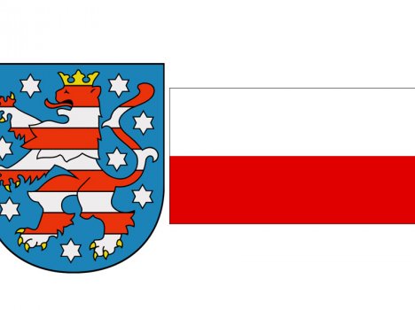 Fahnentuch Deutschland mit Rheinland-Pfalz Wappen klein - Betze