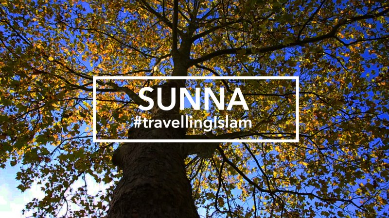 Warum ist die Sunna so wichtig? | Begriffswelten Islam | bpb.de