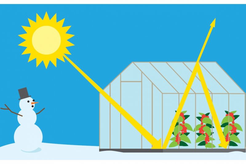 Wie der Klimawandel funktioniert einfach POLITIK