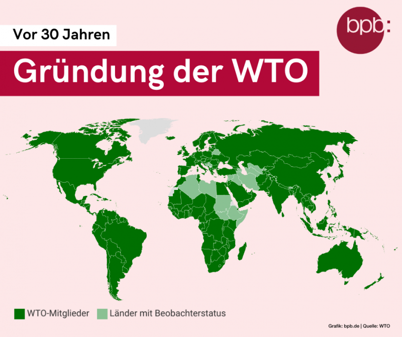 dünger für zitronen TerraDomi Mediterran- & Zitruspflanzendünger 1 Liter Flüssigdünger Kon –  TerraDomi Onlineshop main image 1