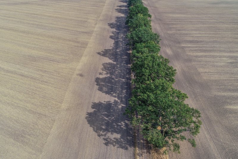 Landwirtschaft in Ostdeutschland: der späte Erfolg der DDR | Lange Wege ...