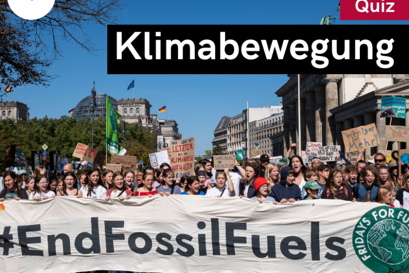 Klimabewegung (Quiz) | Deine tägliche Dosis Politik | bpb.de
