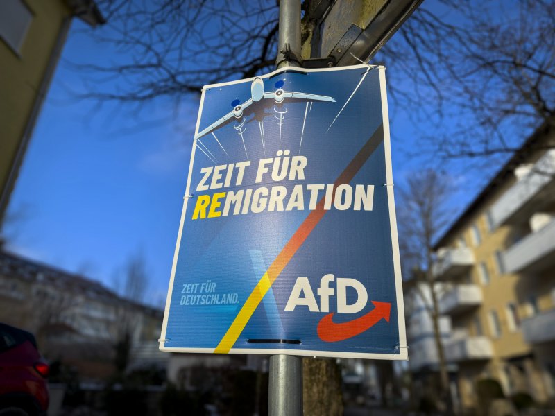 Die Programmatik der AfD | Parteien in Deutschland | bpb.de