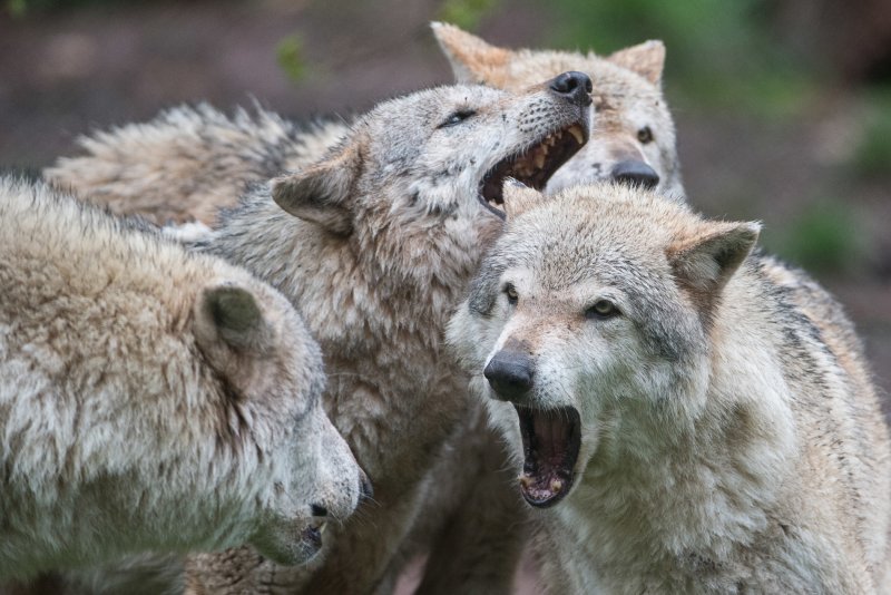 Naturethik Bioethik bpb.de