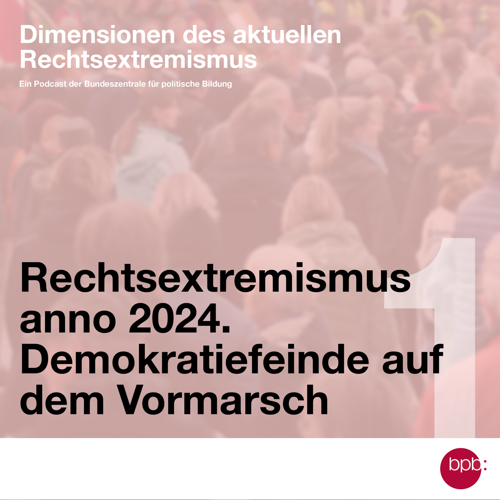 Rechtsextremismus anno 2024 – Demokratiefeinde auf dem Vormarsch