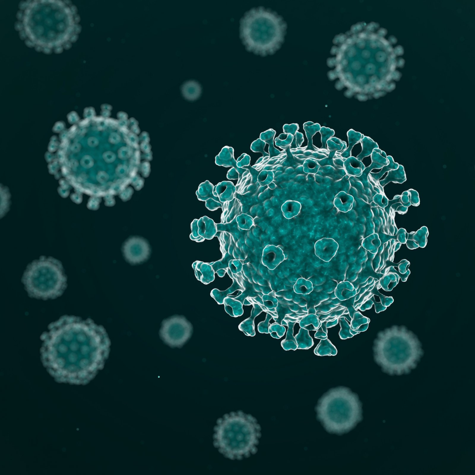 Folge 1: Ein Virus, viele Theorien