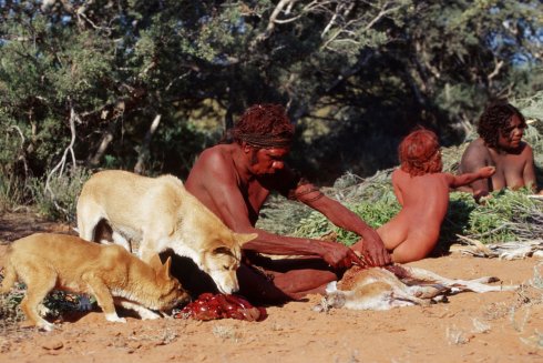 tiere befriedigen menschen Fotostrecke: Tiere retten, Menschen helfen! main image 0